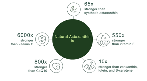 astaxanthin potency-png
