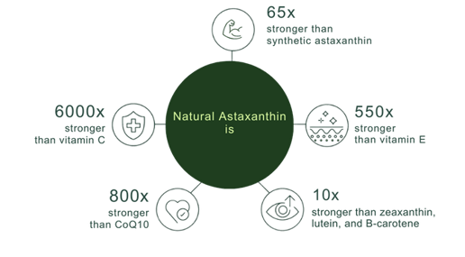 astaxanthin potency-png
