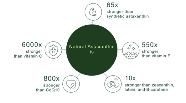 astaxanthin potency-png