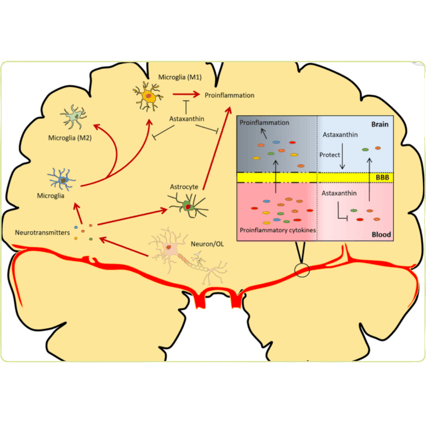 cc2c90d4-d08b-4605-afd6-ec2a12751323