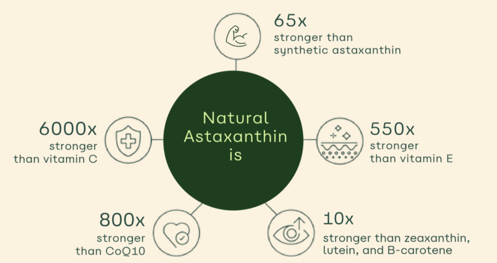 e7436362-e887-4f3c-884b-eb7f52d01596