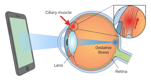 85b5be21-9dd7-4ad1-b731-57c5c682b793