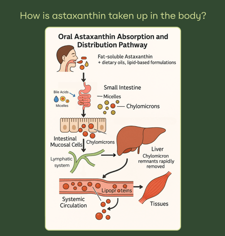 undefined-Dec-09-2025-01-11-37-8303-PM