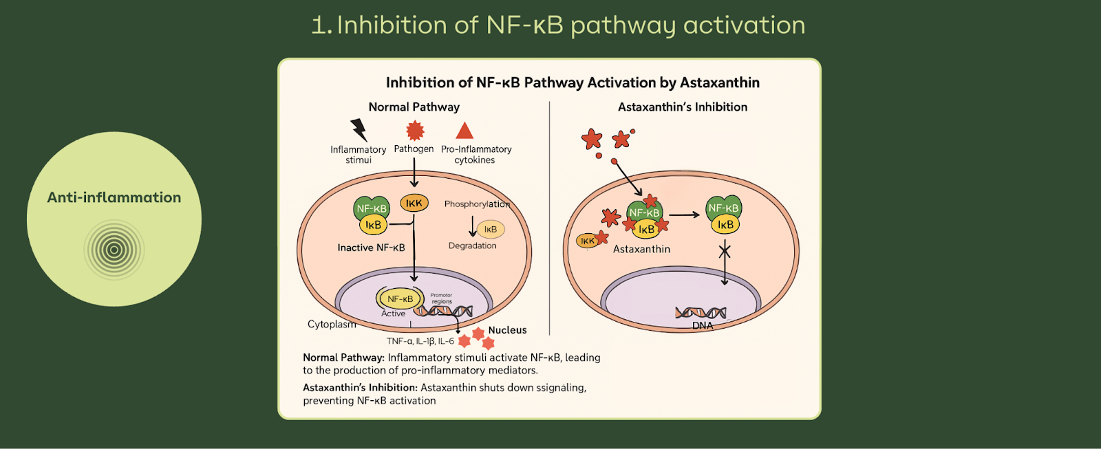 undefined-Dec-09-2025-01-12-08-9030-PM