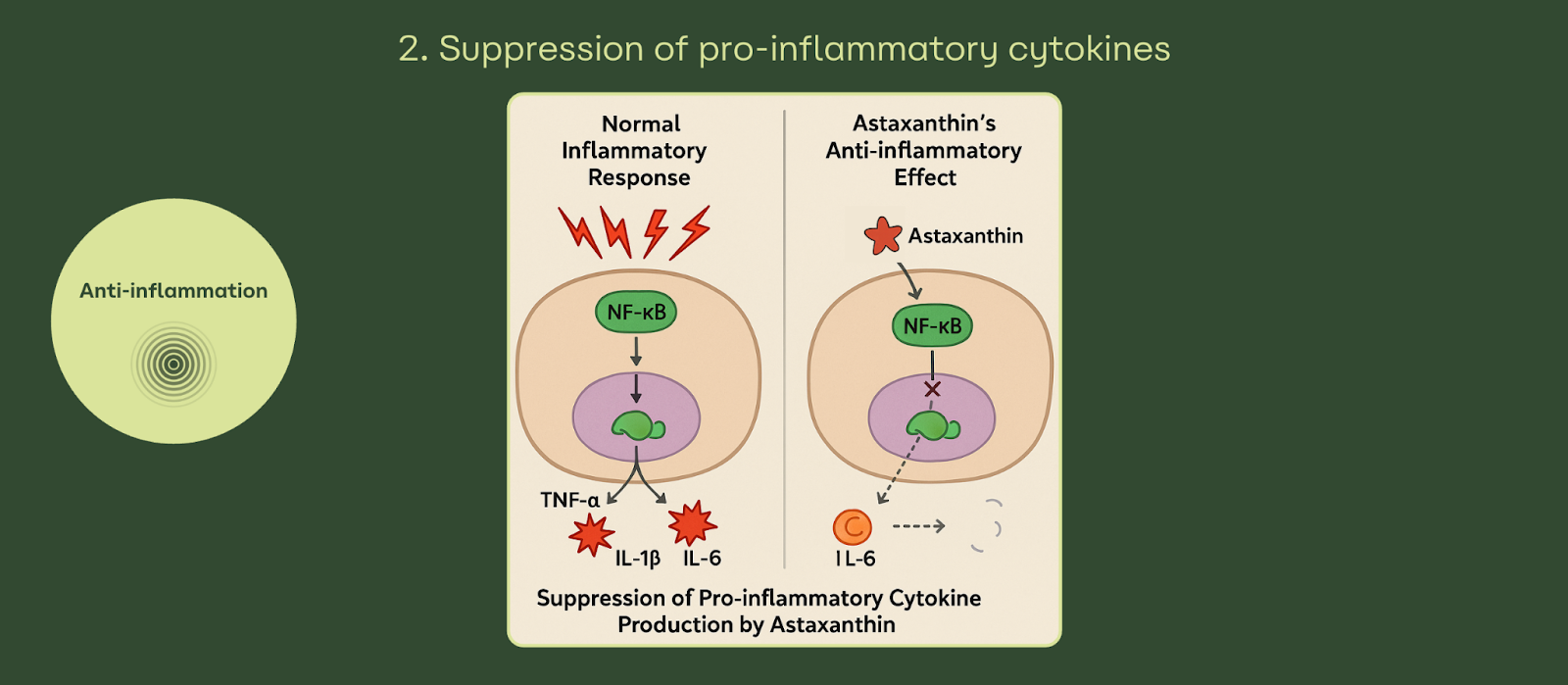 undefined-Dec-09-2025-01-12-40-6578-PM