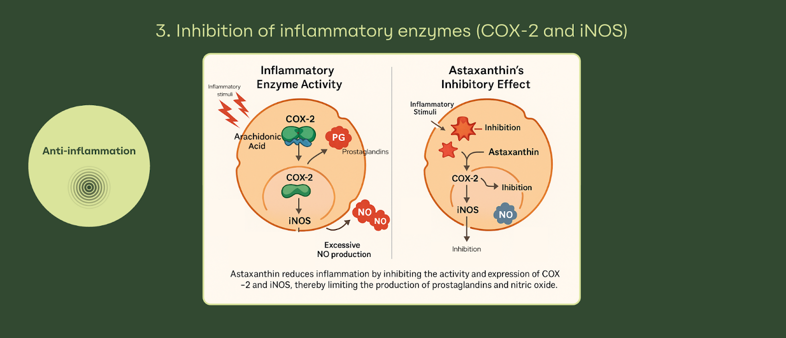 undefined-Dec-09-2025-01-12-59-3737-PM