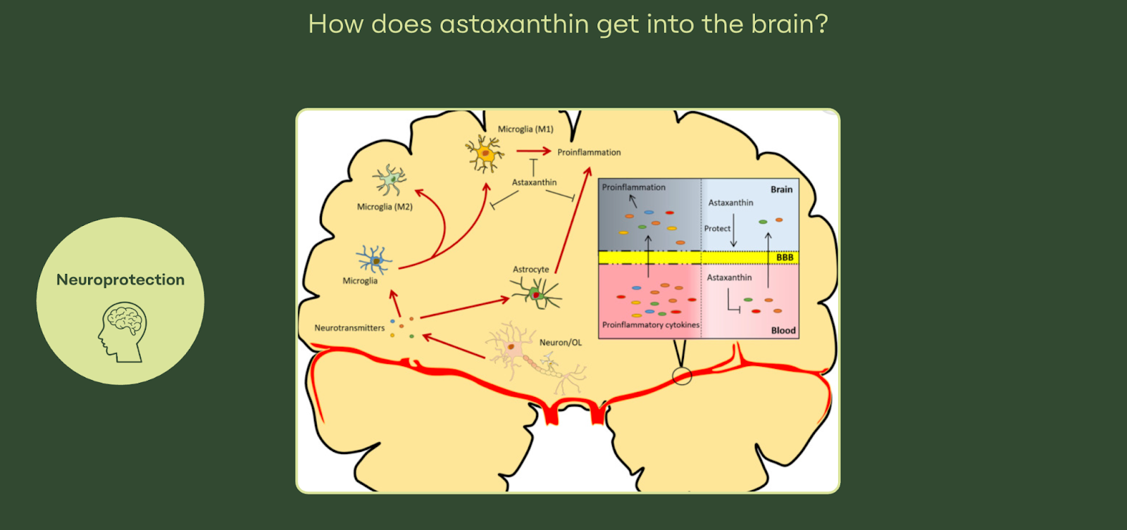 undefined-Dec-09-2025-01-13-17-0859-PM