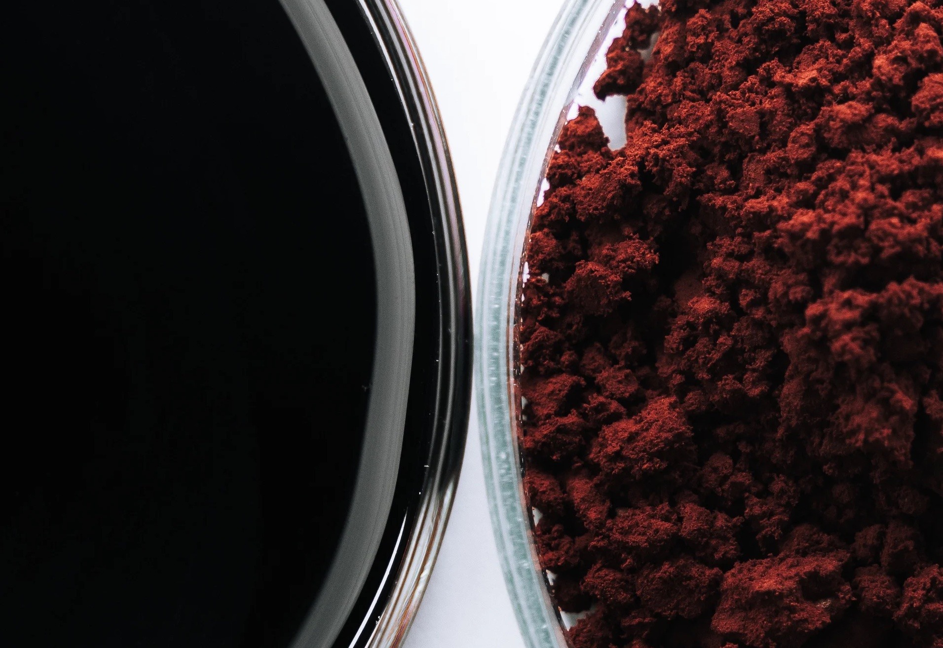 How Astaxanthin Combats Inflammaging & Extends Healthspan