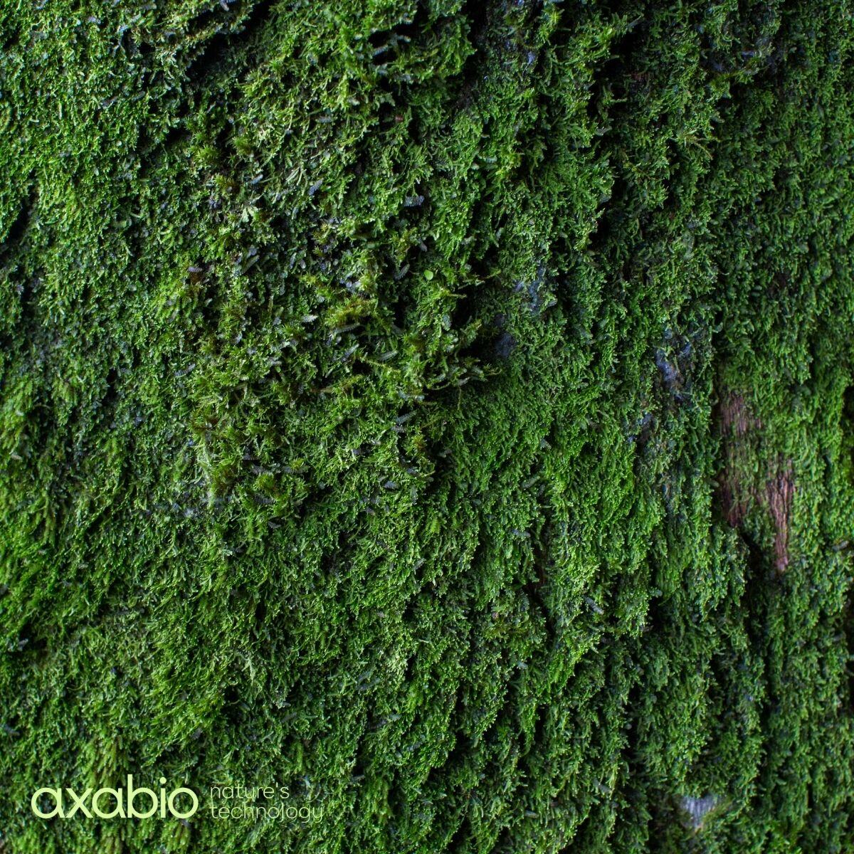 axabio® Is Now a Certified B Corporation™