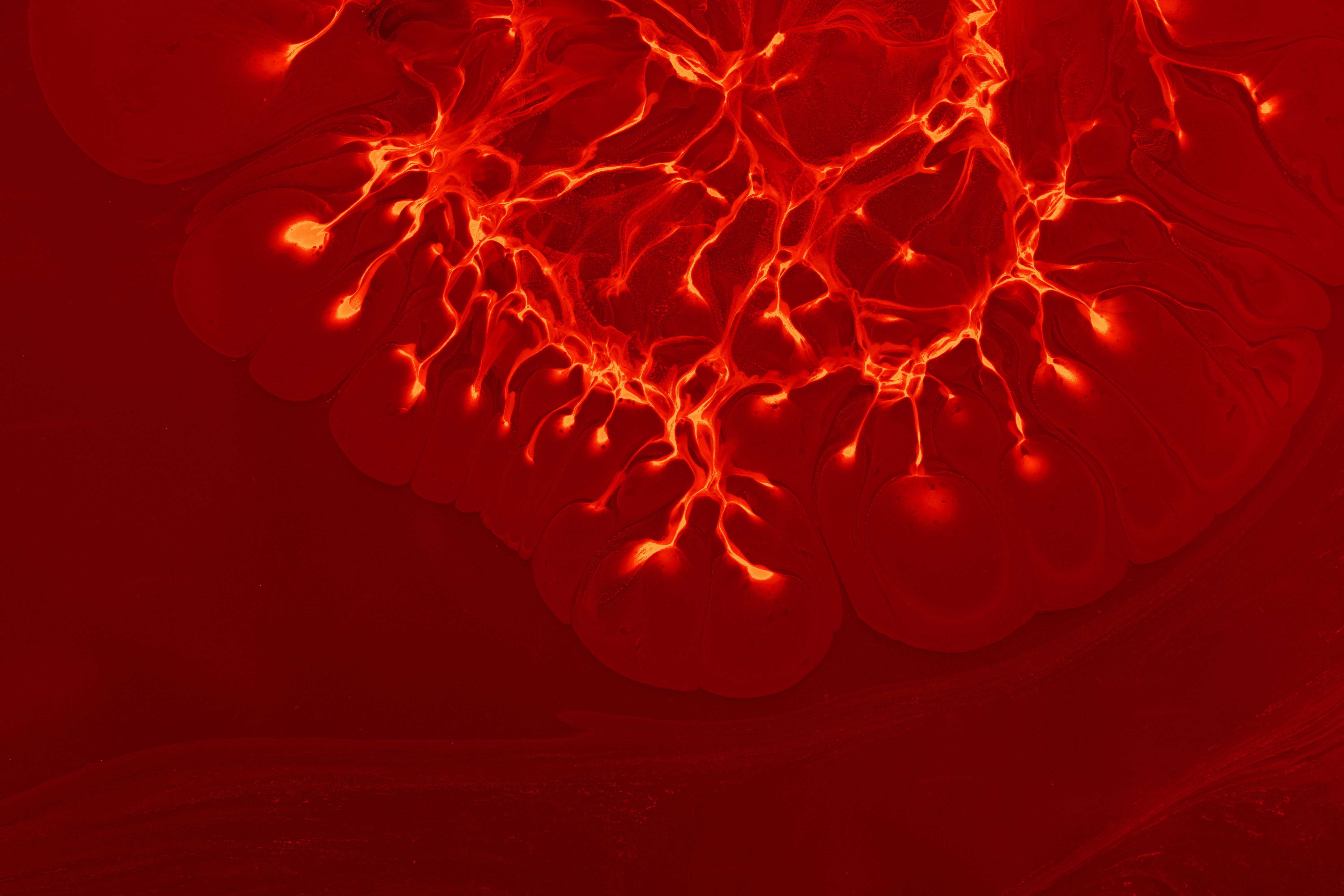 Astaxanthin: 20 Questions Answered by Science (2026)
